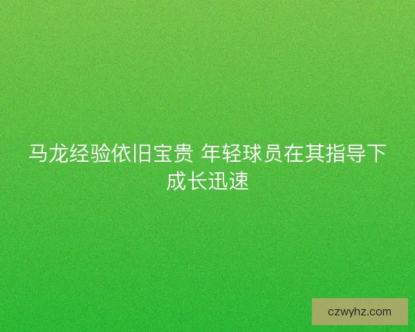 马龙经验依旧宝贵 年轻球员在其指导下成长迅速